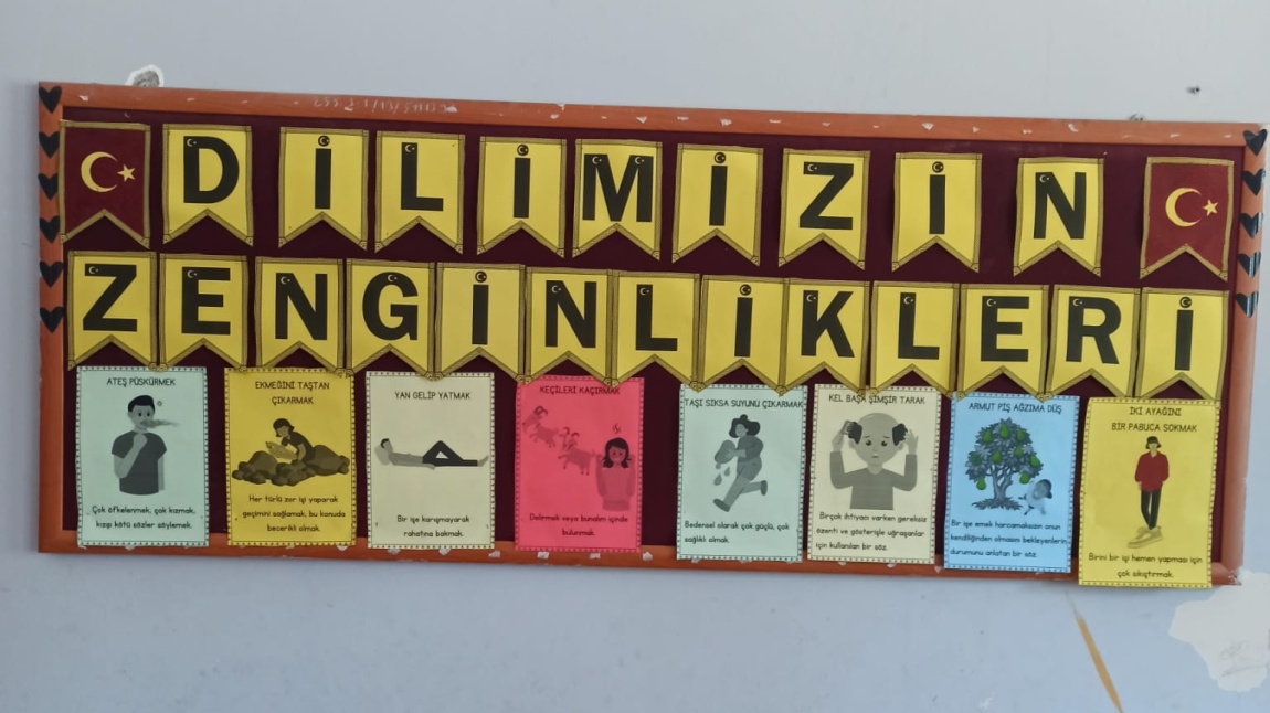 Dilimizin Zenginlikleri